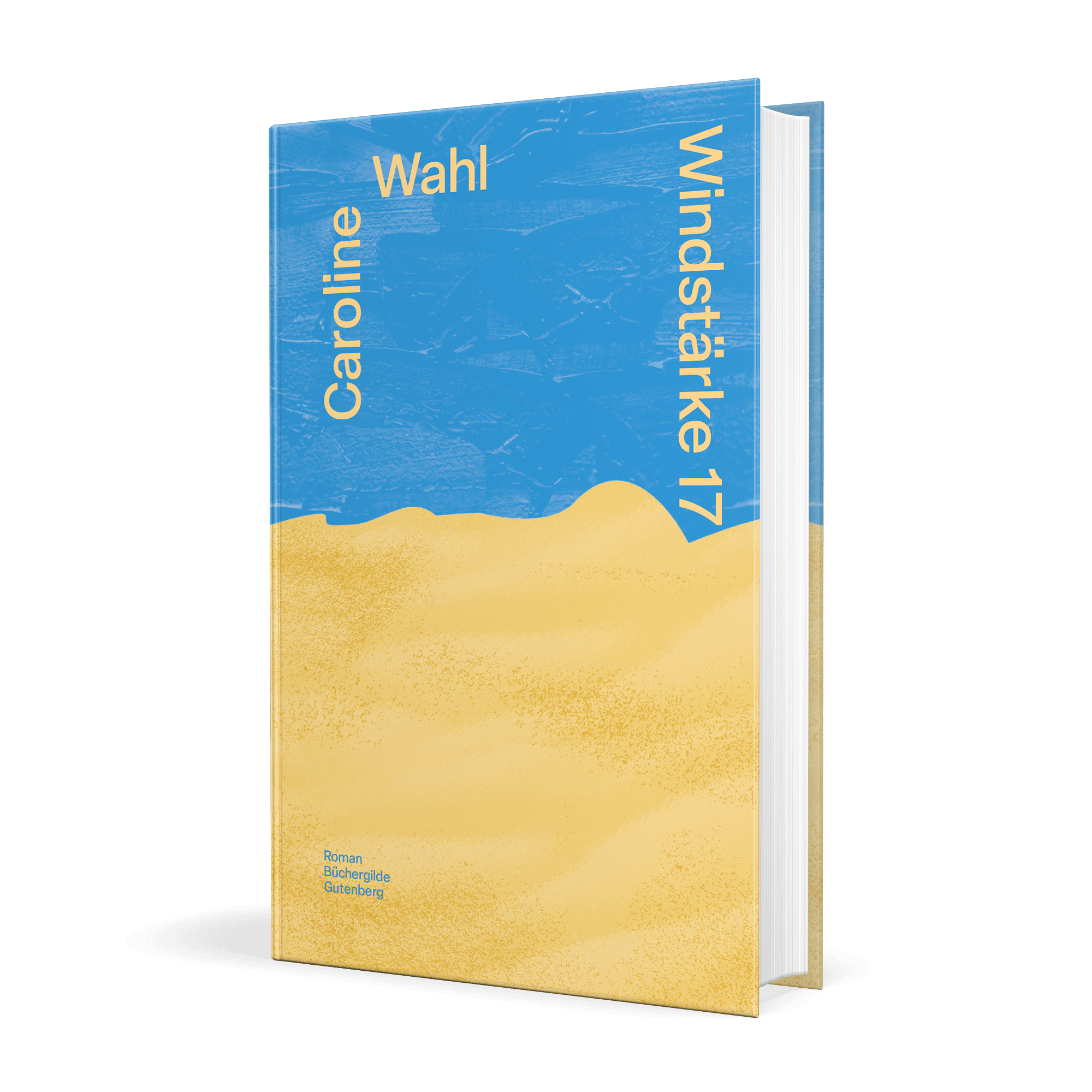 17572X_Wahl_Windstaerke_3D_01.png