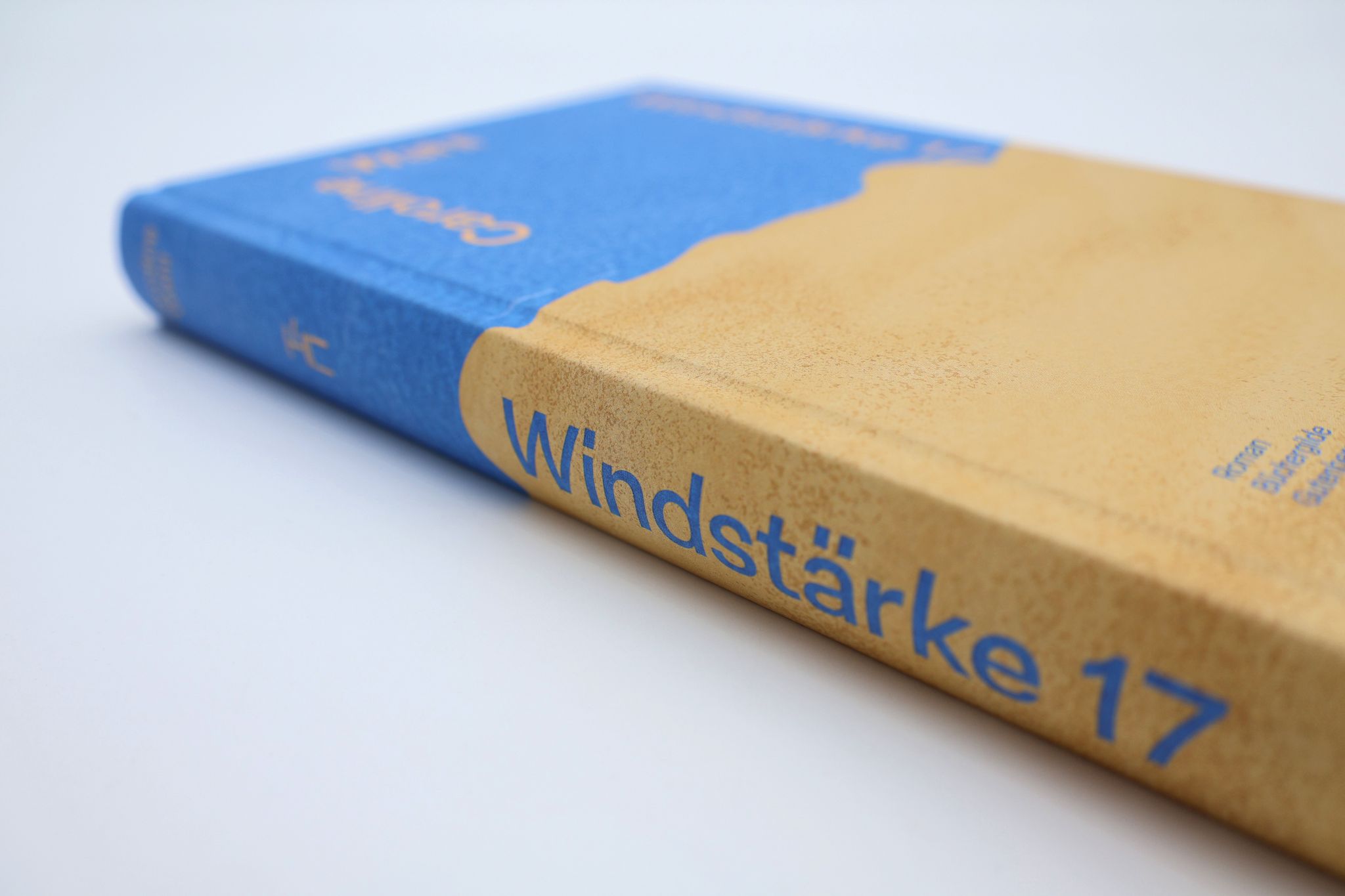 17572X_Wahl_Windstaerke_BA_04.jpg