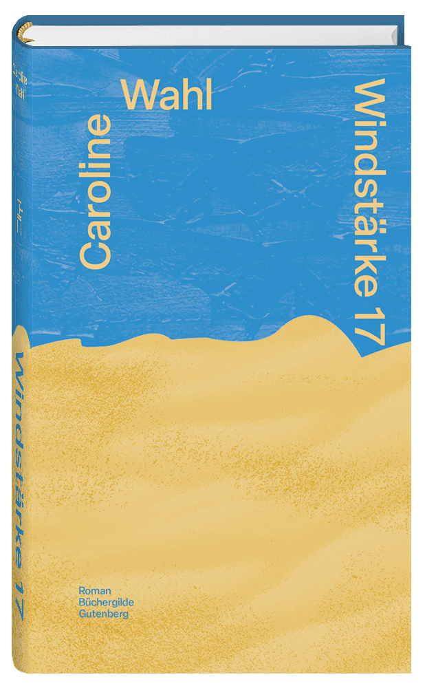 17572X_Wahl_Windstaerke_FR_02.png