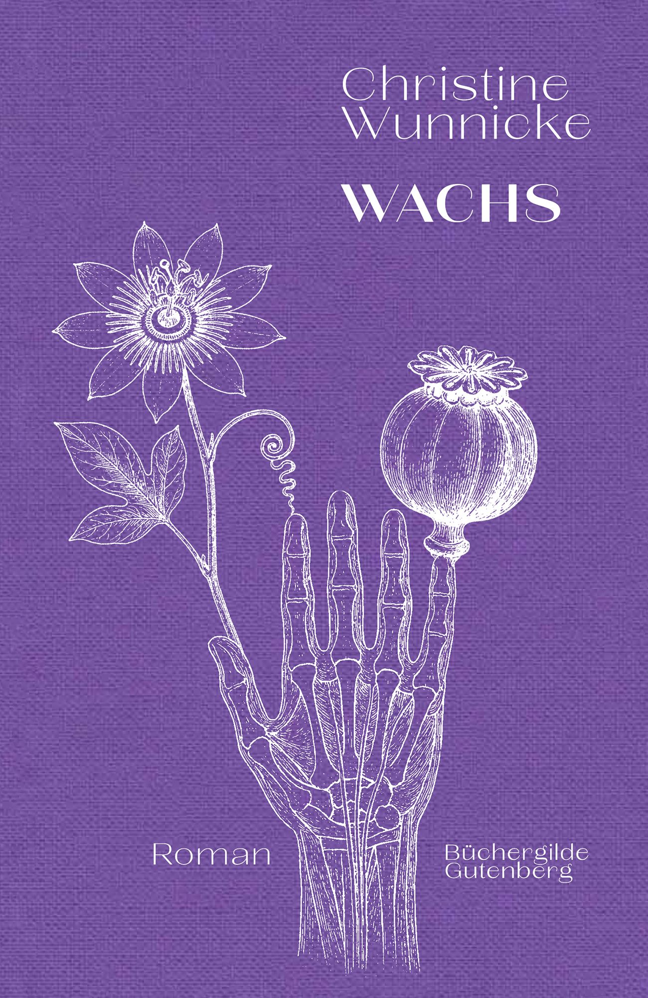 176793_Wunnicke_Wachs_FR_01.jpg