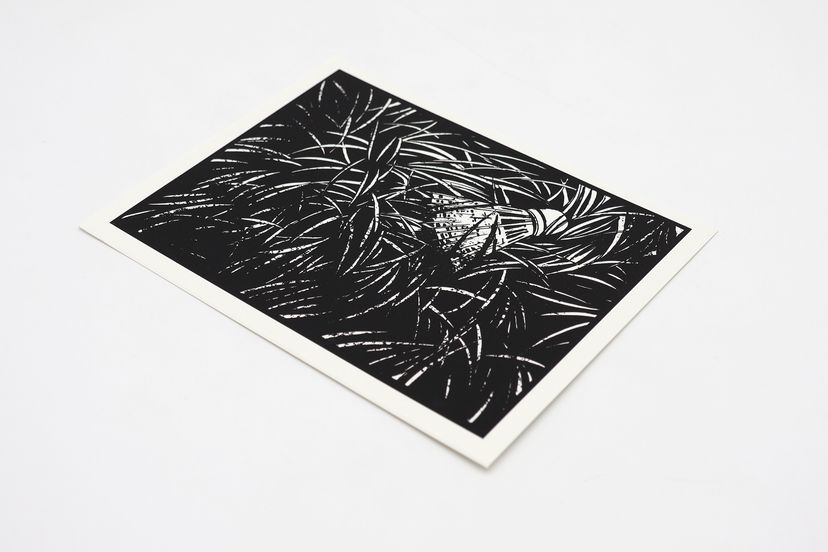 177277_Sokolow_Schule_VA_BM_02.jpg