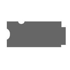 Logo_vfdsk.png