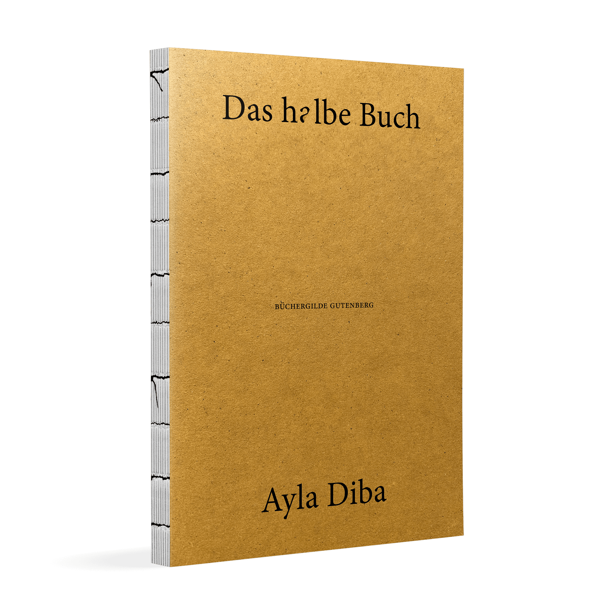 17765X_Diba_HalbeBuch_3D_01(1).png